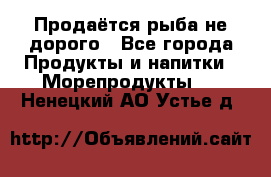 Продаётся рыба не дорого - Все города Продукты и напитки » Морепродукты   . Ненецкий АО,Устье д.